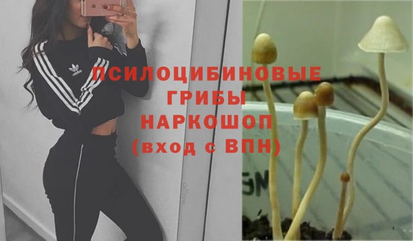COCAINE Елабуга