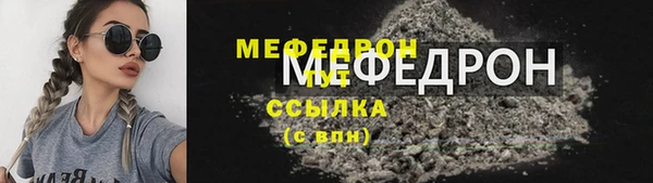 амф Ельня