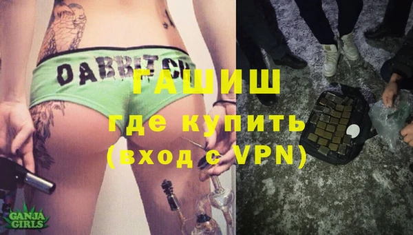 амф Ельня