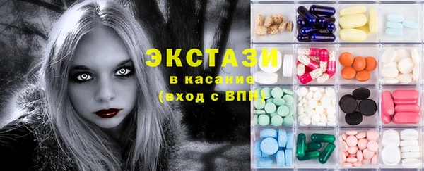 амф Ельня