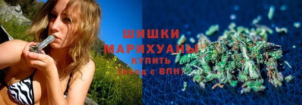 амф Ельня