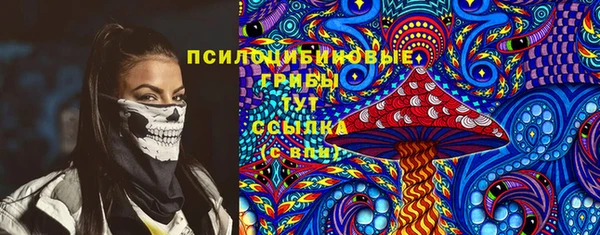 амф Ельня
