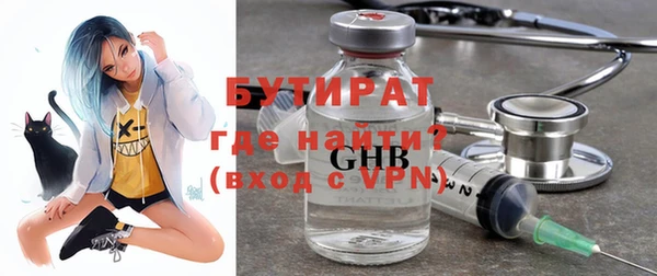 амф Ельня